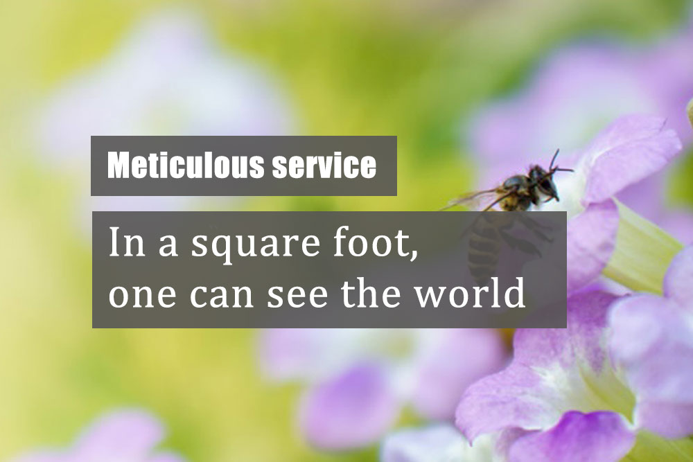 东莞市检研检测认证有限公司