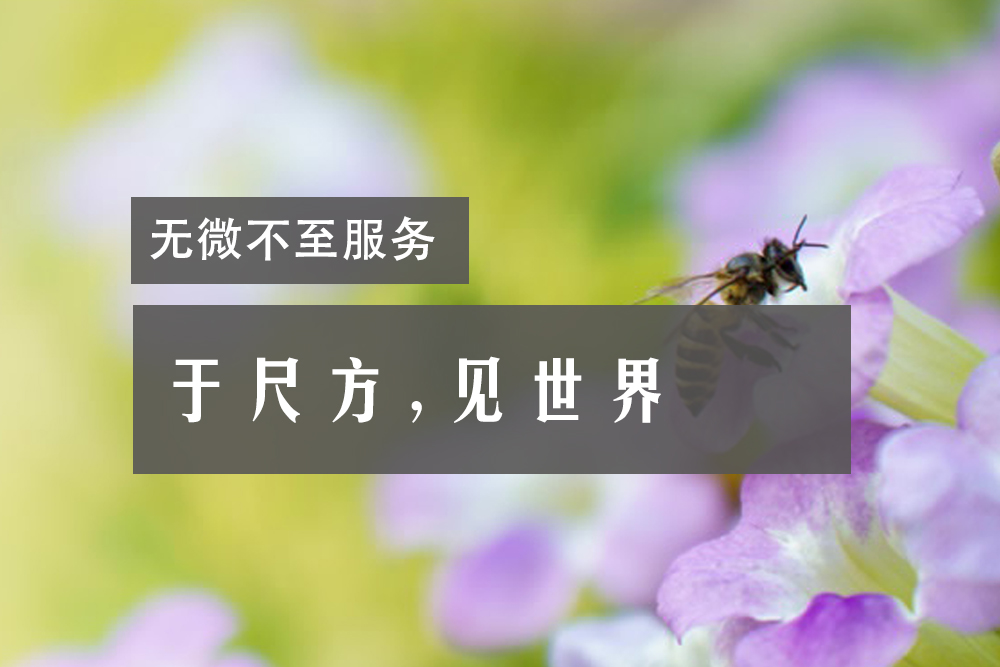 东莞市检研检测认证有限公司